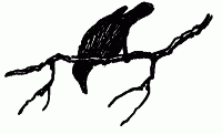 Встречи с животными img_143.png