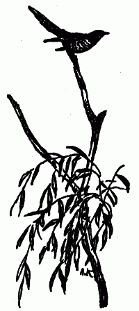 Встречи с животными img_148.png