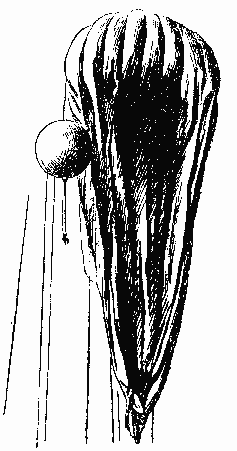 Потолок мира i_007.png