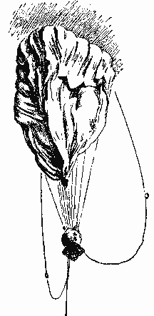 Потолок мира i_010.png