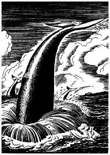 Моби Дик, или Белый Кит i_10.png