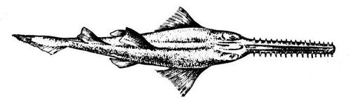 Большая Советская Энциклопедия (ПИ) i009-001-218226804.jpg