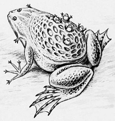 Большая Советская Энциклопедия (ПИ) i008-pictures-001-288308354.jpg