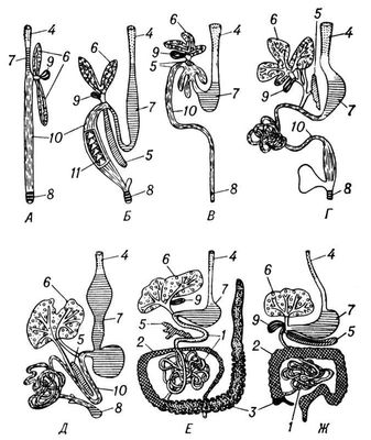Большая Советская Энциклопедия (ПИ) i009-001-221417987.jpg