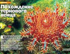 Журнал «Вокруг Света» № 1 за 2005 года any2fbimgloader10.jpeg