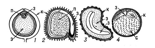 Большая Советская Энциклопедия (СЕ) i010-001-276591664.jpg