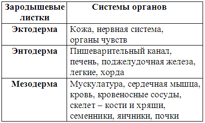 Племенное разведение собак i_013.png