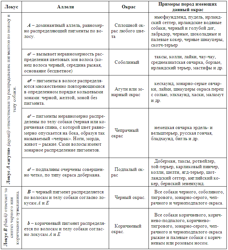 Племенное разведение собак i_031.png