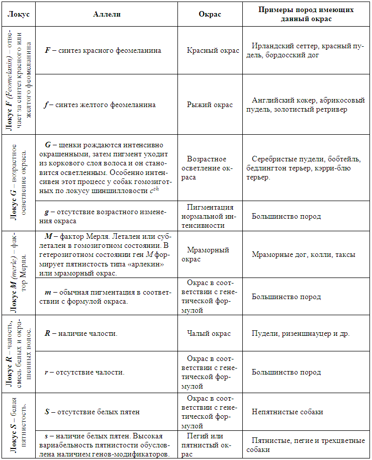 Племенное разведение собак i_033.png