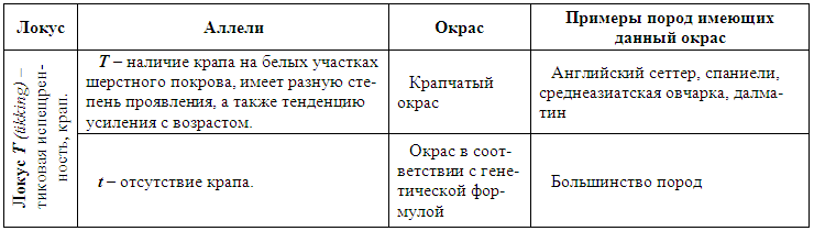 Племенное разведение собак i_034.png