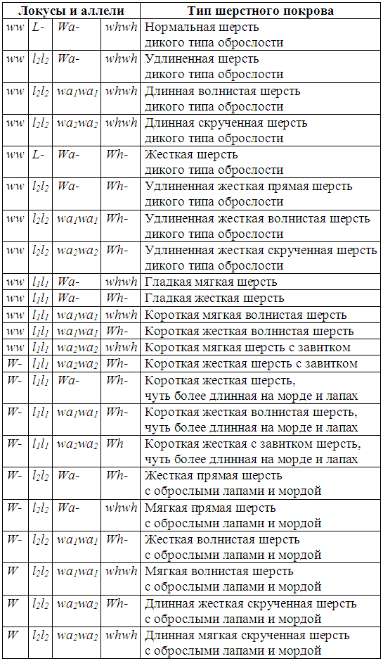 Племенное разведение собак i_038.png