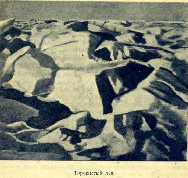 Арктика i_012.jpg