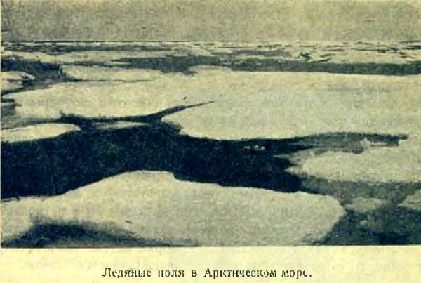 Арктика i_013.jpg