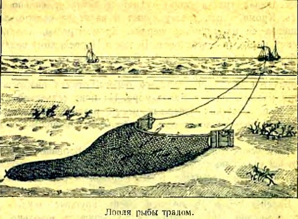 Арктика i_024.jpg