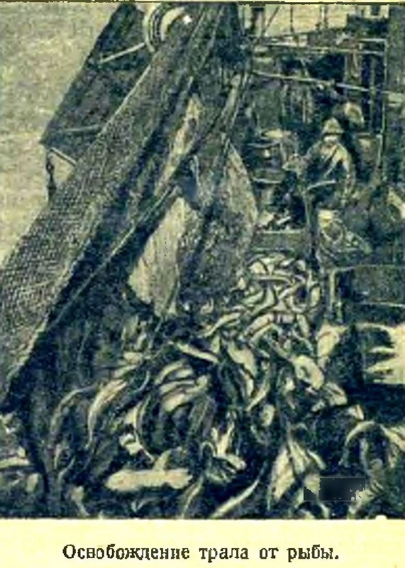 Арктика i_025.jpg