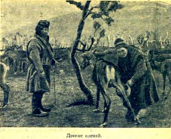 Арктика i_029.jpg