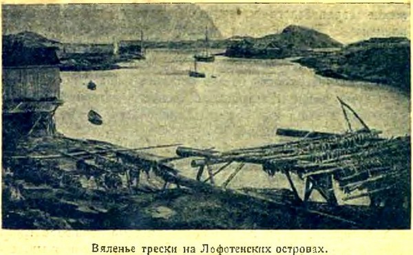 Арктика i_006.jpg
