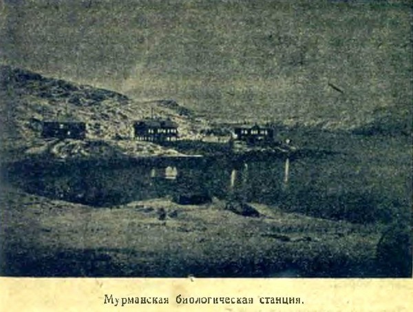 Арктика i_007.jpg
