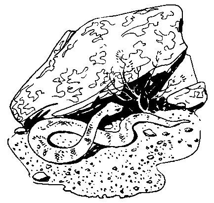 У самой границы (сборник) pic_4.png