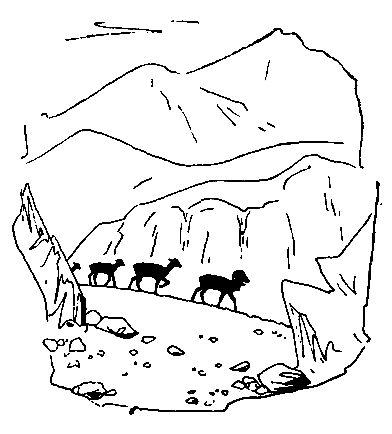У самой границы (сборник) pic_12.png