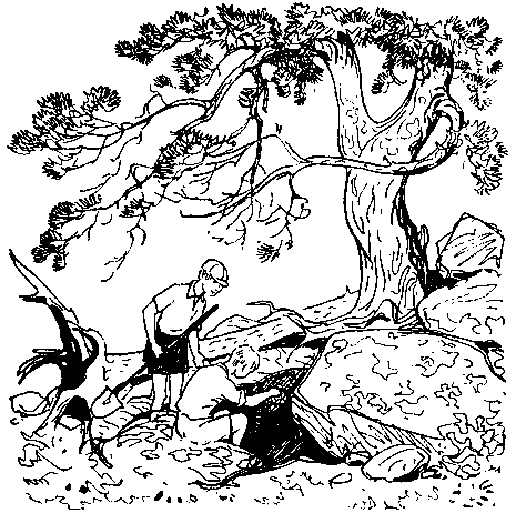 У самой границы (сборник) pic_22.png
