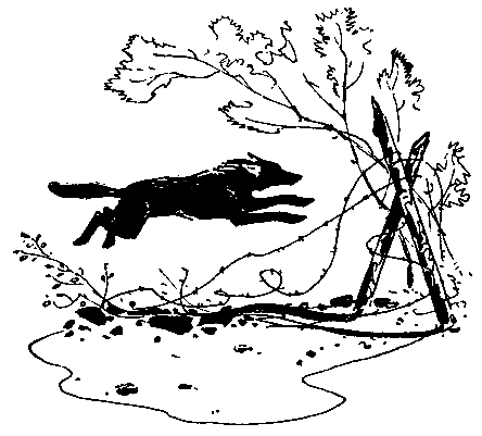 У самой границы (сборник) pic_8.png