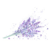 img_10.jpeg
