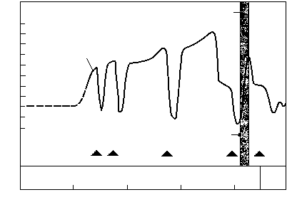 История земли и жизни на ней img20.png