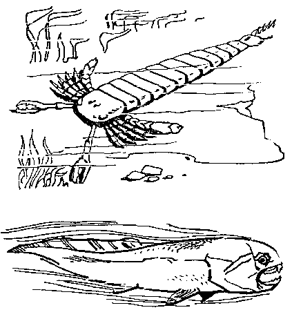 История земли и жизни на ней img26.png