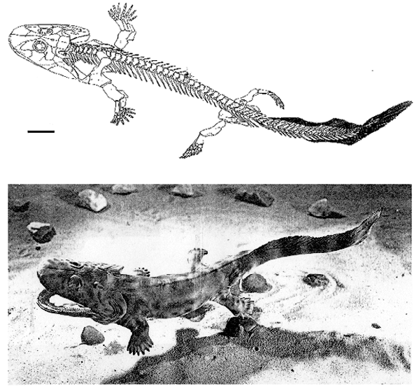 История земли и жизни на ней img32.png