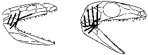История земли и жизни на ней img37.png