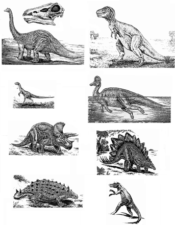 История земли и жизни на ней img45.png