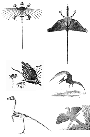 История земли и жизни на ней img47.png