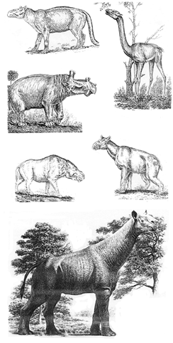 История земли и жизни на ней img55.png