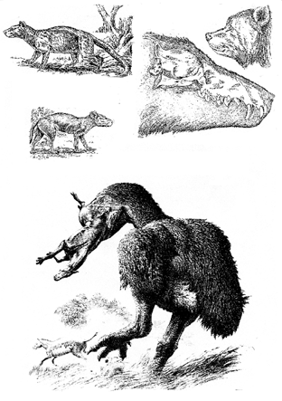 История земли и жизни на ней img56.png
