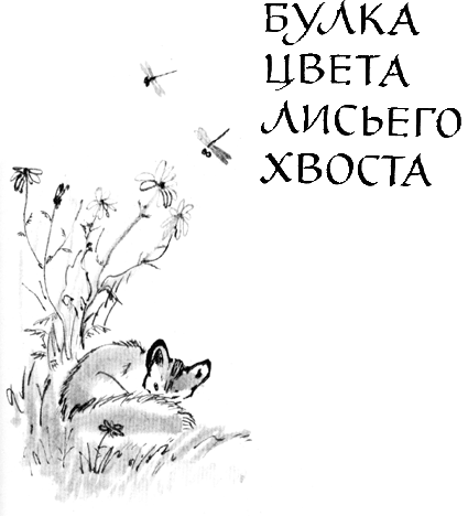Булка цвета лисьего хвоста Untitled1.png