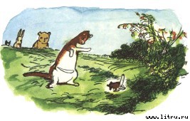 Винни-Пух и Все-Все-Все i_063.jpg