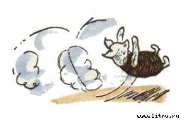 Винни-Пух и Все-Все-Все i_069.jpg