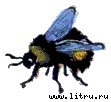 Винни-Пух и Все-Все-Все i_014.jpg