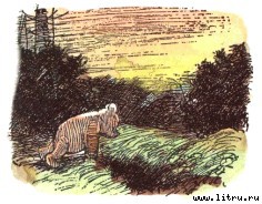 Винни-Пух и Все-Все-Все i_040.jpg