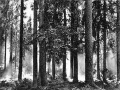 Беседы о фотомастерстве dyko_photo_036.jpg