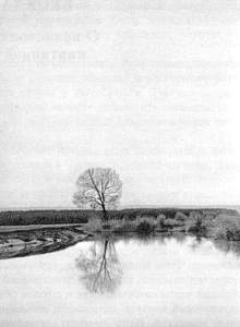 Беседы о фотомастерстве dyko_photo_039.jpg