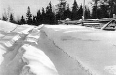 Беседы о фотомастерстве dyko_photo_046.jpg