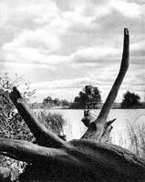 Беседы о фотомастерстве dyko_photo_051.jpg