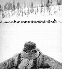 Беседы о фотомастерстве dyko_photo_052.jpg