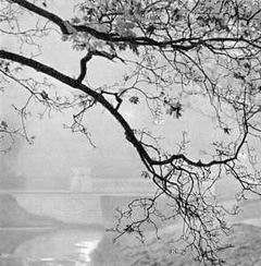 Беседы о фотомастерстве dyko_photo_055a.jpg