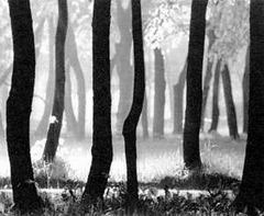 Беседы о фотомастерстве dyko_photo_061.jpg