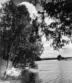 Беседы о фотомастерстве dyko_photo_106.jpg