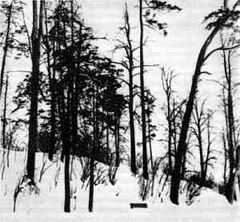 Беседы о фотомастерстве dyko_photo_008.jpg