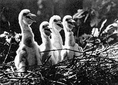 Беседы о фотомастерстве dyko_photo_123.jpg